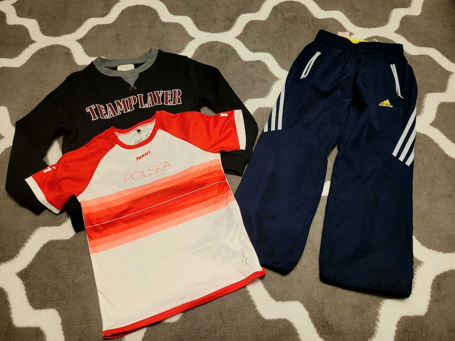 Bluza zara, spodnie, bluzka