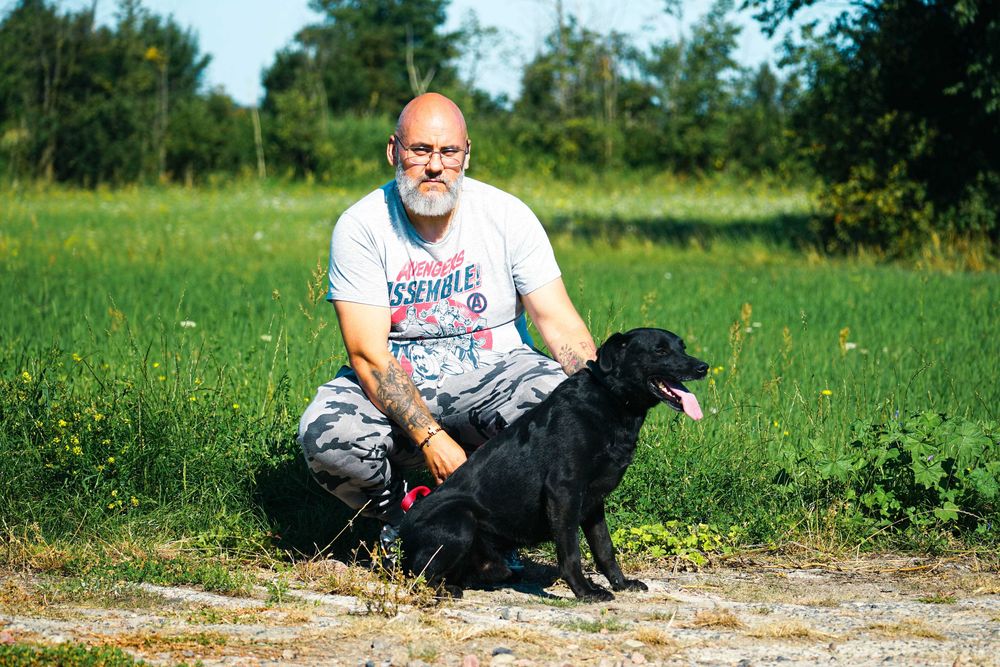 NEMO - świetny psiak w typie labrador
