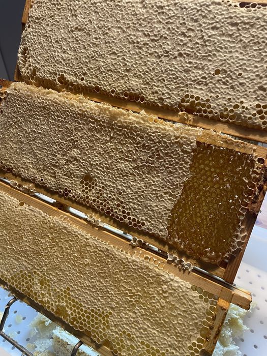 Miód na sprzedaż, ceny podane w opisie