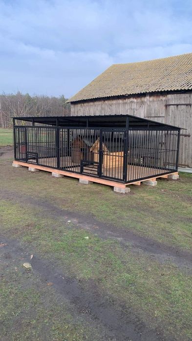 Kojec śliczny solidny