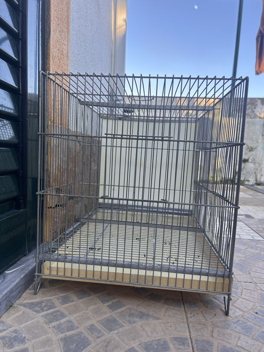 Gaiola de Criação de 1 m