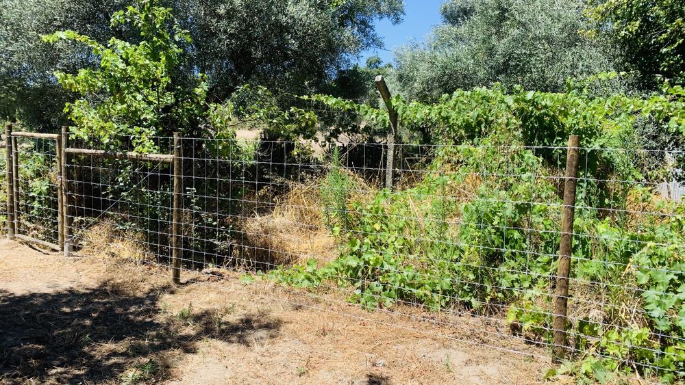 Vedaçao Fencing Cloture