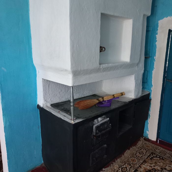 3/5 будинку та велика земельна ділянка