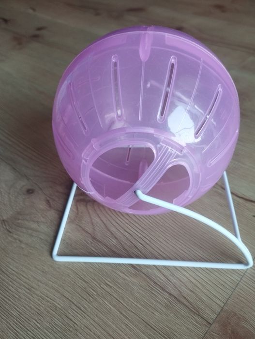 Kołowrotek / kula dla chomika