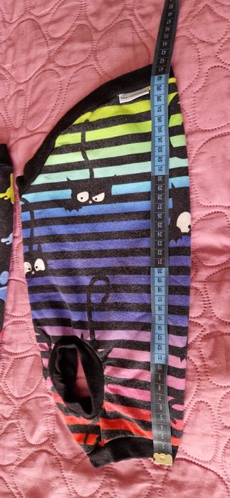 Ubranka dla kotka psa