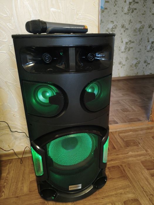 Парні колонки 2в1 акумулятор і мережа Pro Audio 1210