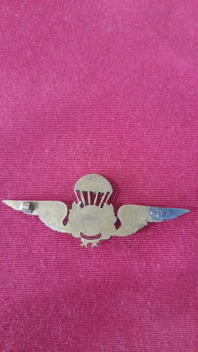 Alfinete Lapela e Distintivos (Lote 5)