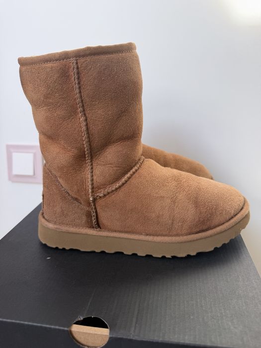 S iegowce ugg clasic
