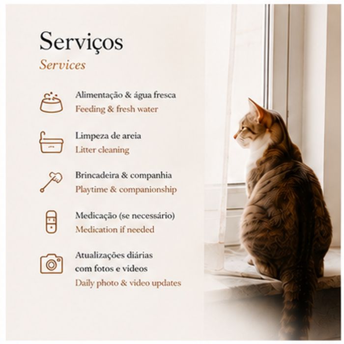 Catsitter Lisboa497380092670136321