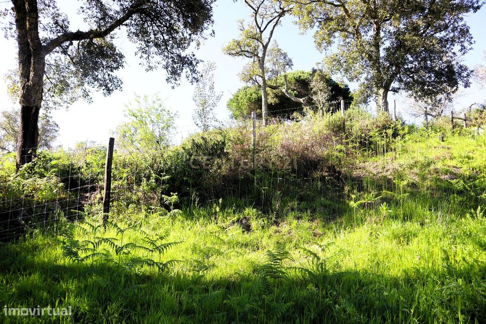 Moradia para renovar em Santo Estevão das Galés inserida num terreno d