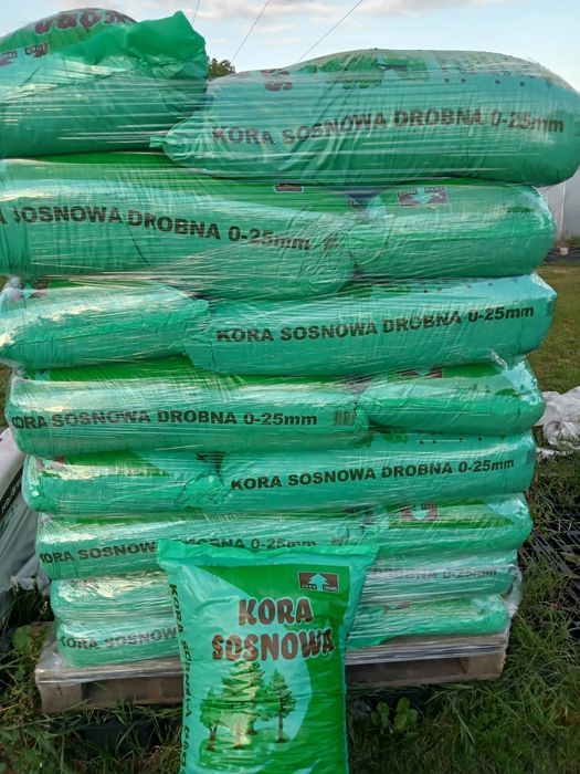 Kora sosnowa 24 zl