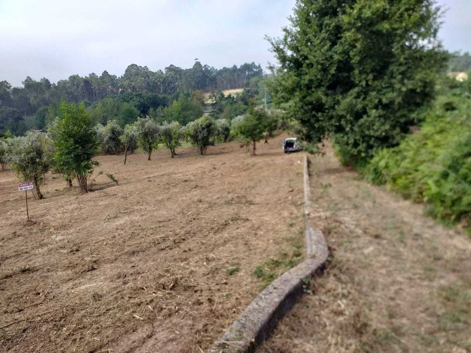 Terreno para construção junto à ecopista do dão