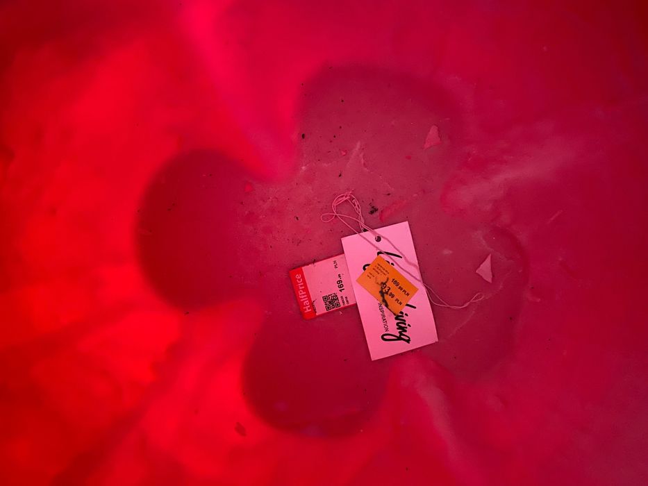 Donica papryka duża