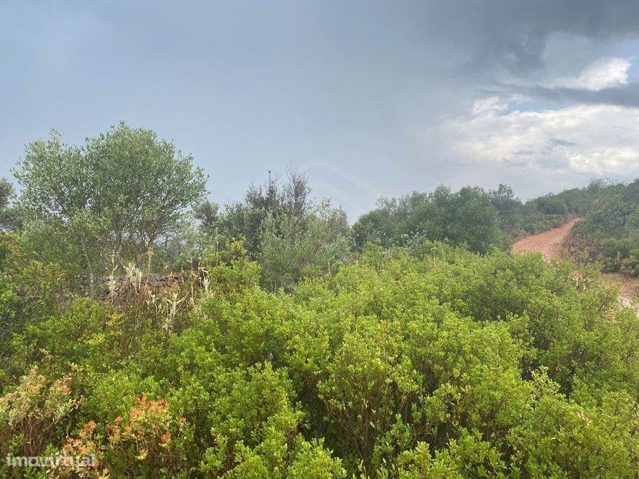 Lote de terreno rústico com a área total de 2400m2, Salir, Algarve