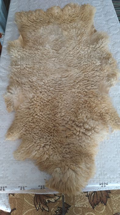 Продам баранячу шкіру