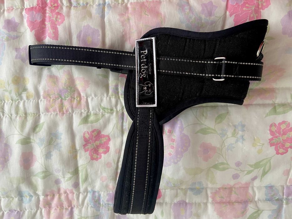 Conjunto de Peitoral e Trela Flexi para Cão Grande