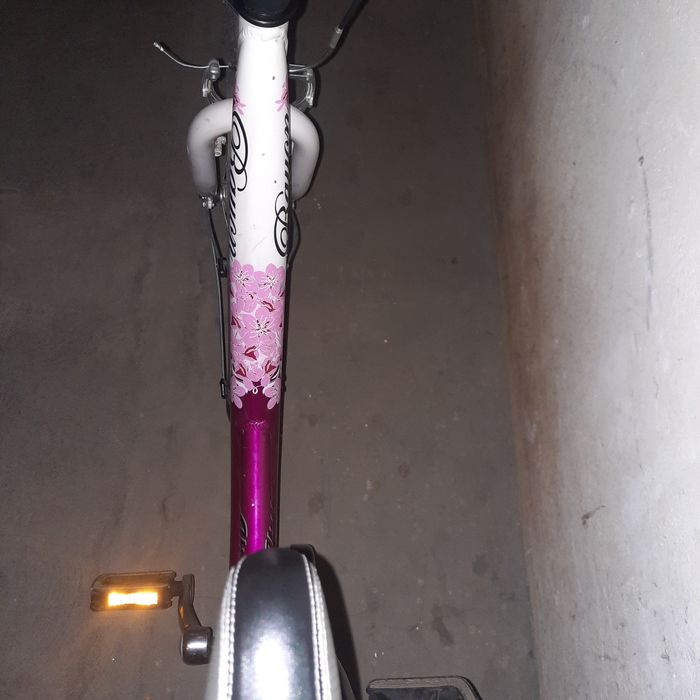 Rower 24'' aluminium