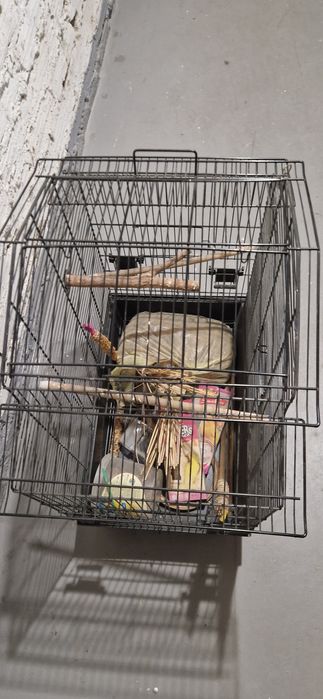 Klatka dla papug duża