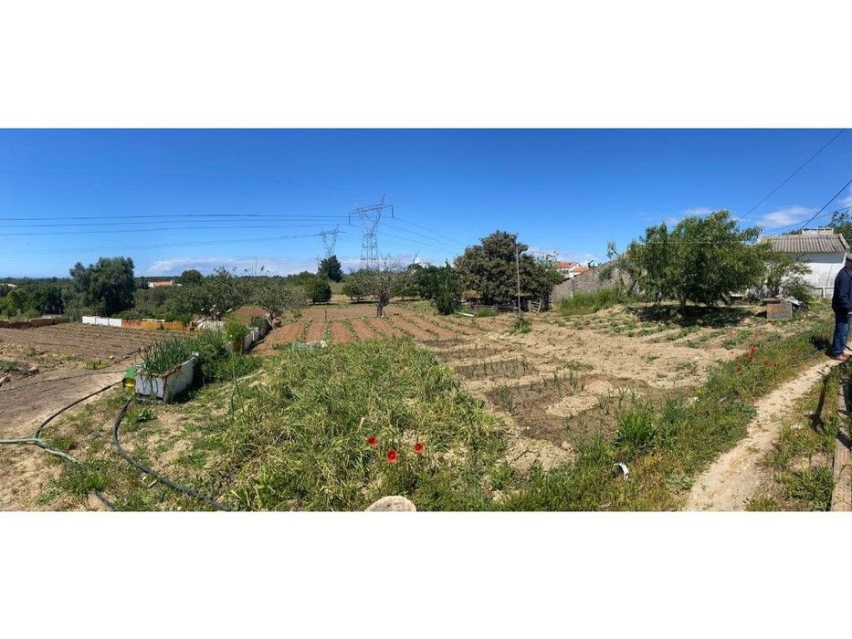 Quinta com vista Mar em Santiago do Cacém