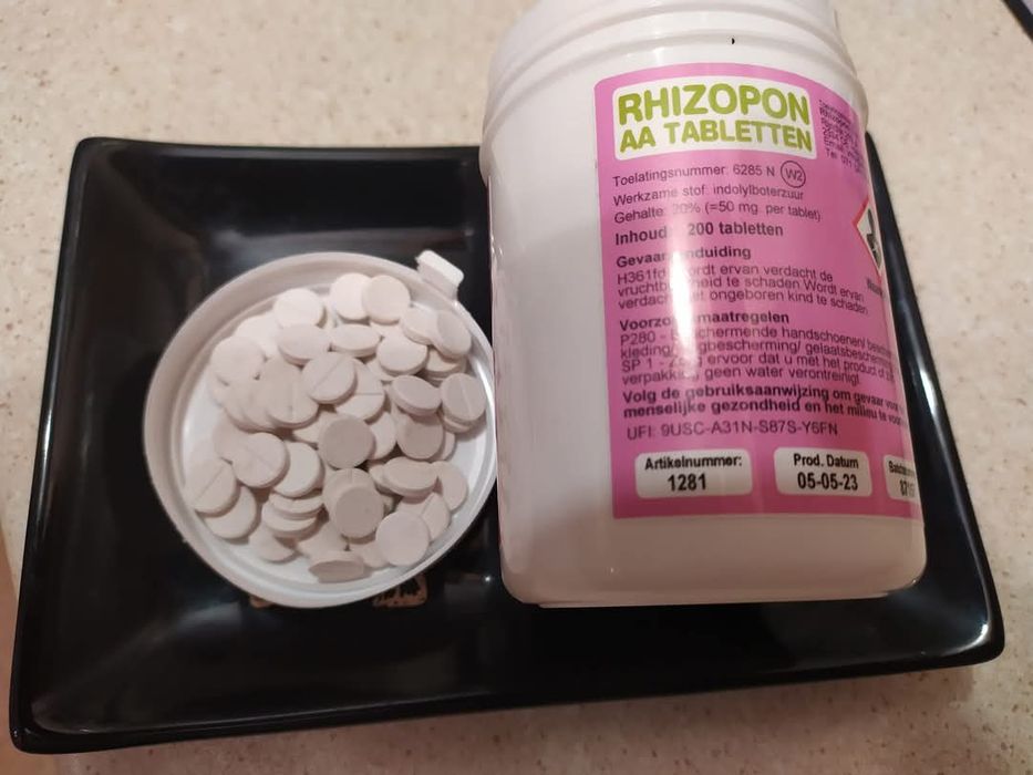 Різопон Rhizopon