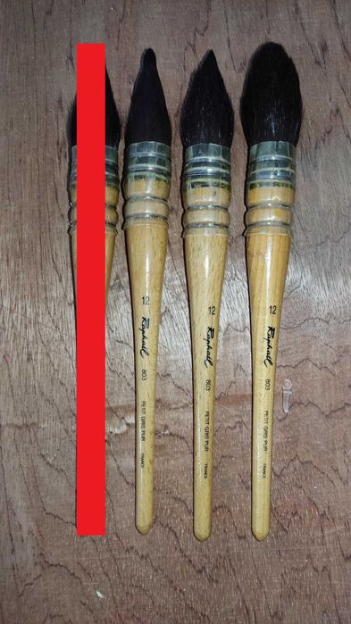 Pincéis Raphael (lote 1)