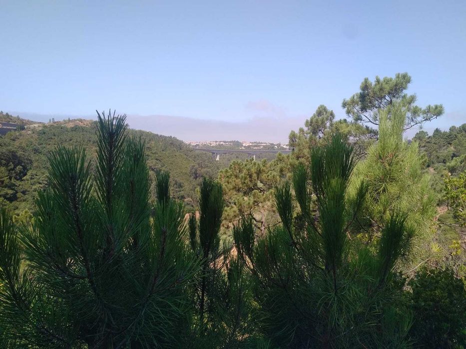 Terreno Rústico com 2.875 m² em Alto Famoes, Mafra.