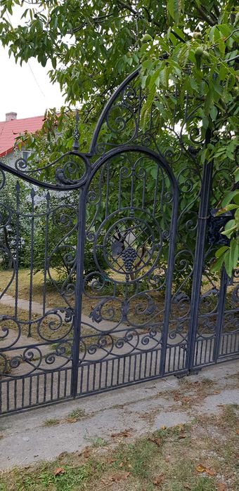 Будинок з гаражем в центрі міста
