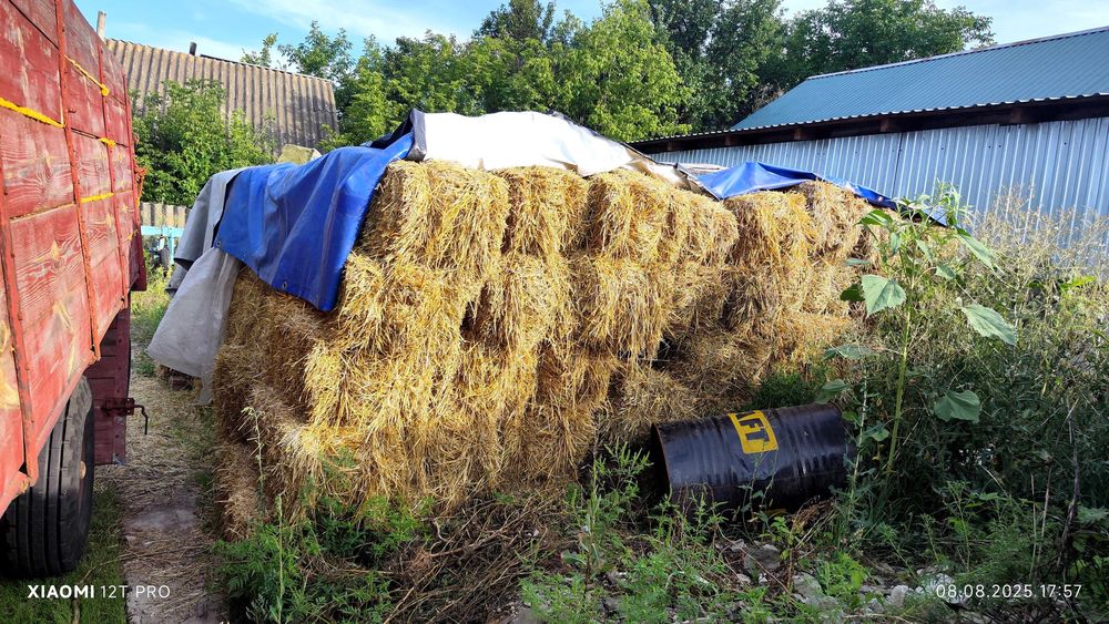 Продам солому в тюках