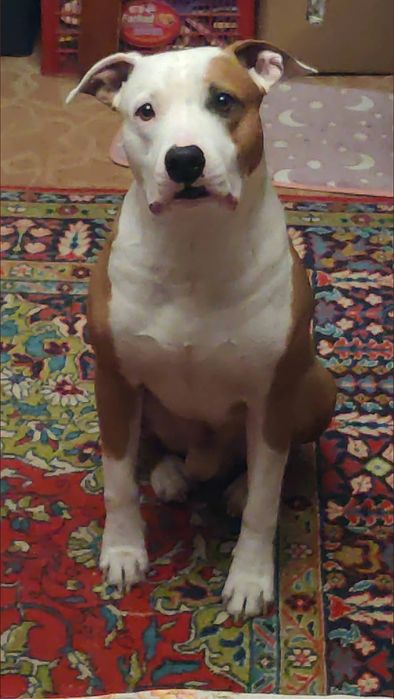 Вязка для здоровья