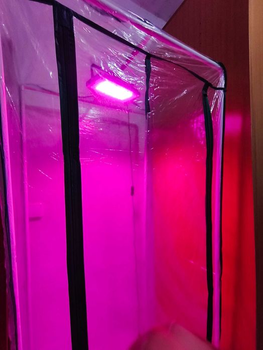 Estufa c/ Lâmpada de Crescimento