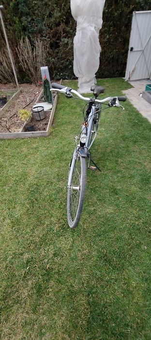 Rower Batavus Schimano
