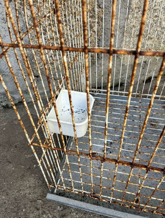 Gaiola para pássaro