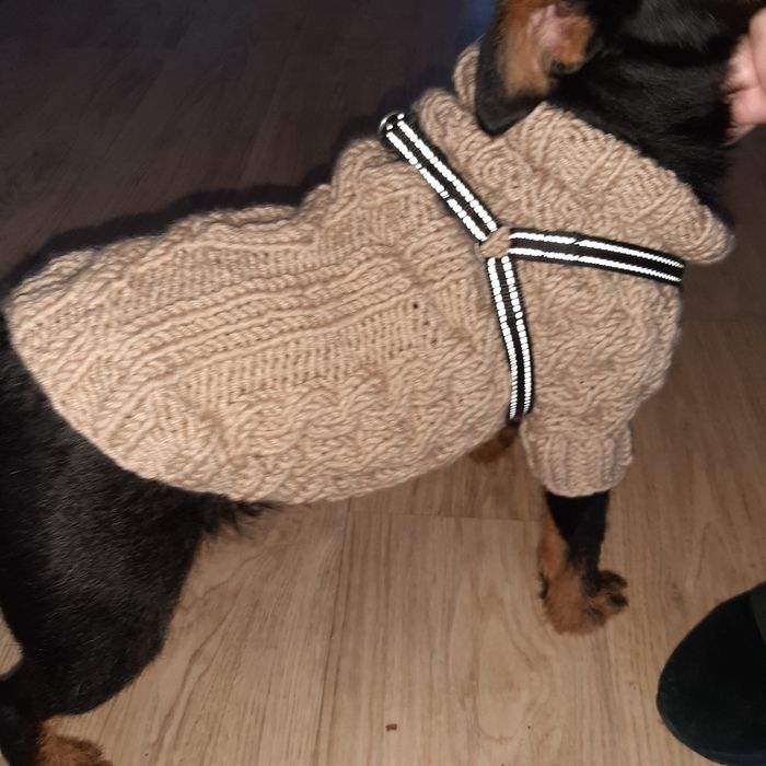 Свитер вязаный для собак