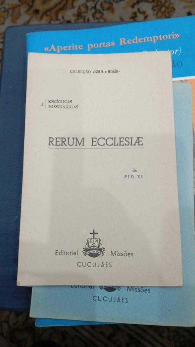 Pio Xi, Rerum Ecclesiae