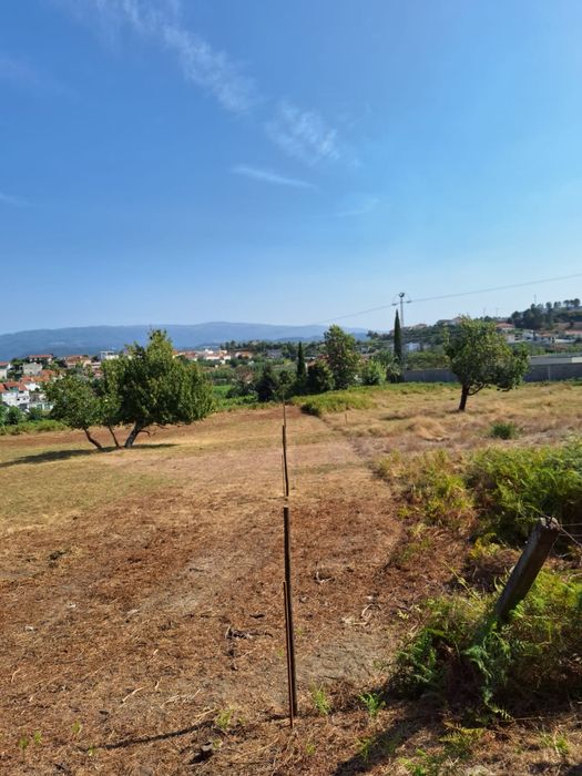 Vende-se ou alugar-se  terreno em Estradinha - Telões - Amarante