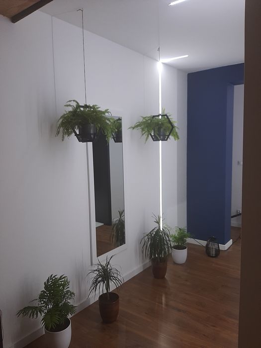 Usługi Sprzątające