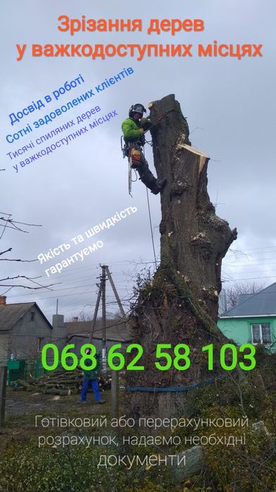 Спил, зрізання, видалення, обрізка аварійних дерев, арбористика