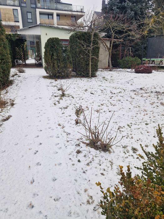 Działka Rod Botaniczne do sprzedania