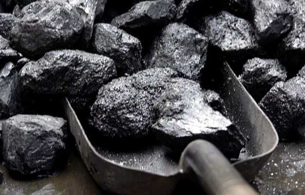 Вугілля, брикети, пелети паливні без посередників