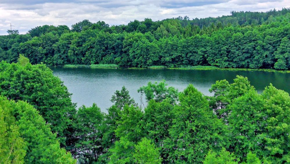 Działka nad jeziorem z linią brzegową.