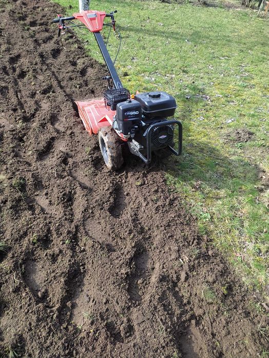 Usługi ogrodnicze, wertykulacja trawnika