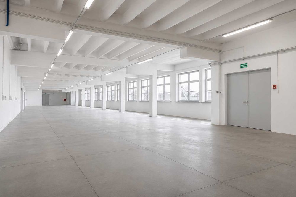 Lokal usługowo-produkcyjno-magazynowy na wynajem Pabianice Centrum | 313 m² | ul. Grota Roweckiego 8A | winda towarowa 3,2 t