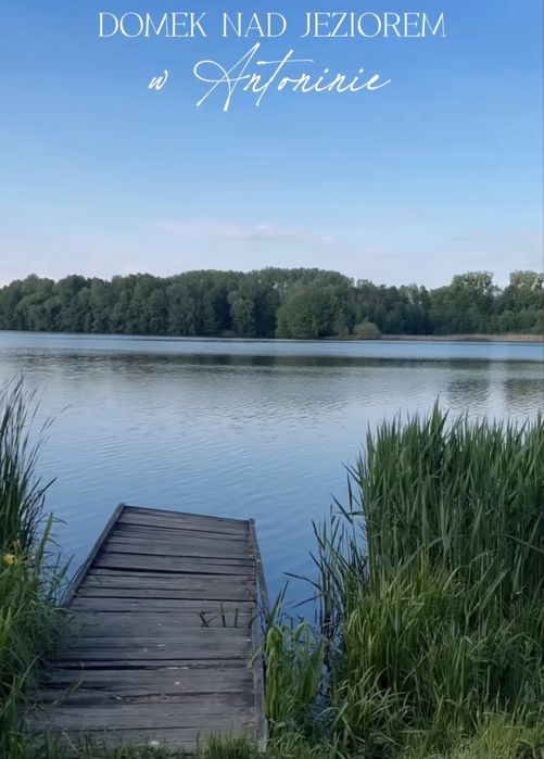 Noclegi Antonin 2026 !