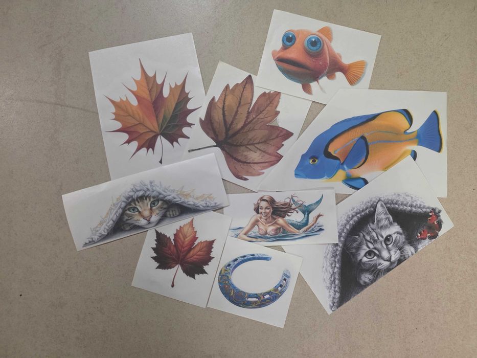 Naklejka na auto RYBA - kraw. zabezp. pędzelkiem-druk pigment 2 L.Gw.