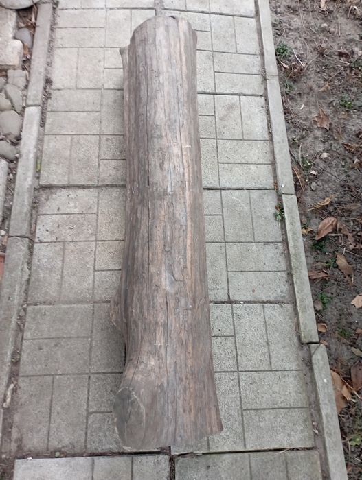 Стовбур   горіха