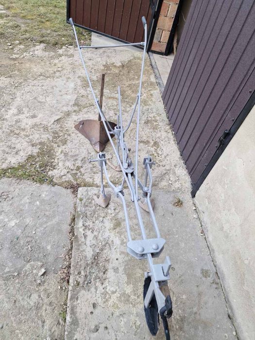 Кінний грасок  нормальний стан