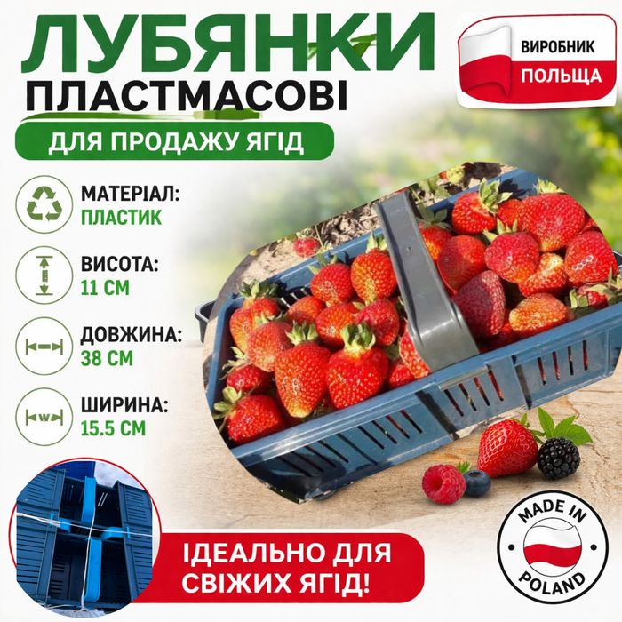 Лубянки нові для збору ягід