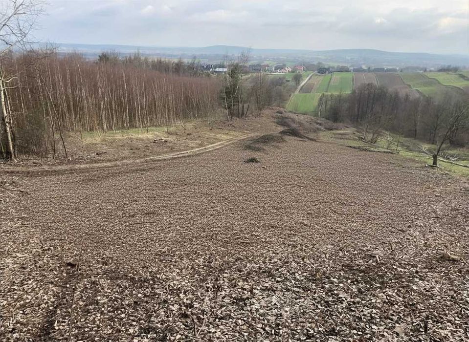 Działka z widokiem 1,24 ha | Mąchocice Kapitulne - Widok 3