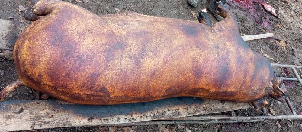 Продав свеней живою вагою ,туші півтуші