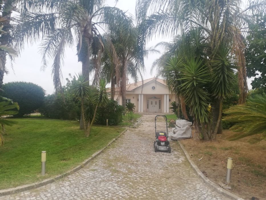Limpezas de terrenos